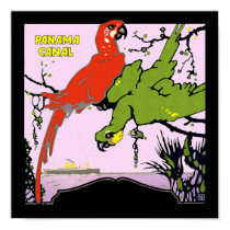 Panama Canal Parrots posters