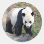 panda102 stickers