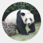 panda108 round stickers
