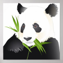 Panda Bear Poster