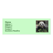 Panda Bear Profile Card Business Cards