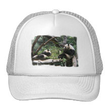 Panda Bears Baseball Hat