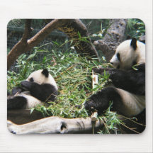Panda Bears Mouse Pad