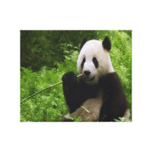 Panda Canvas Print