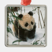 Panda cub on snow, Wolong, Sichuan, China 2 Ornament