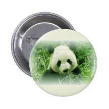 Panda Pins