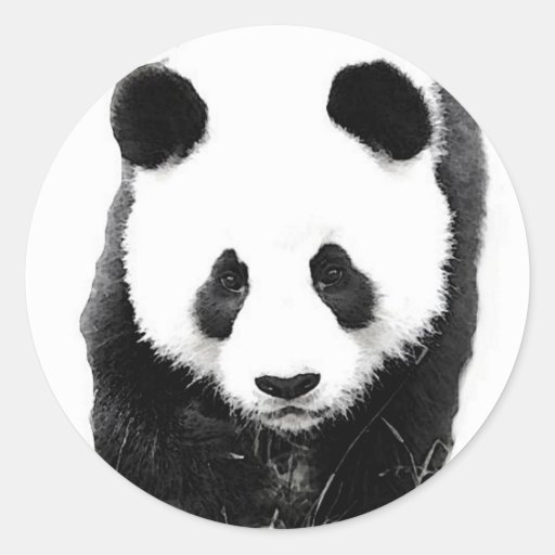 Panda Stickers