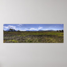 Panorama 8 print