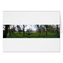 Panorama 9 greeting cards