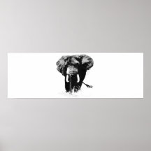 Panoramic B&W Elephant Posters Prints