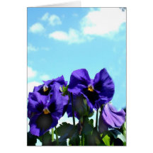 Pansies against sky card