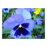 Pansies - Come Party With Us Invitations