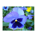 Pansies - CricketDiane Designer Floral Invitations