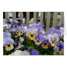 Pansy Blues Fence Card