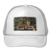 Panthera Jaguar Basebal Hat