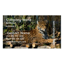 Panthera Jaguar Business Card