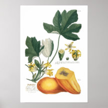 Papaya Print