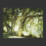 Paperbark Wrapped Canvas canvas prints