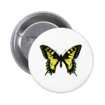 Papilio machaon pins