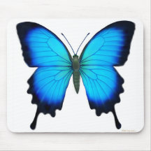 Papilio Ulysses Butterfly Mousepad
