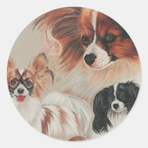 Papillion Sticker