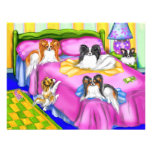Papillon Pink Comfort Personalised Announcement