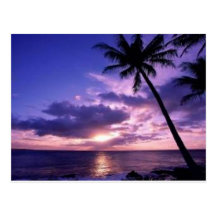 Paradise Island Post Cards