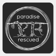 Paradise Rescued Logo on black Square Stickers