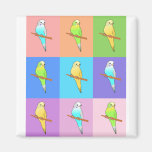 Parakeet Rainbow Rectangles Magnet