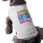 Parakeet Rainbow Rectangles Pet T Shirt