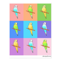 Parakeet Rainbow Rectangles Postcard