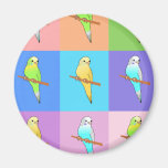 Parakeet Rainbow Rectangles Refrigerator Magnet