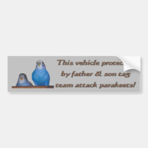 Parakeet Tag Team Bumper Sticker