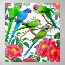 Parakeets & Peonies Print