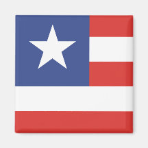 Paranacity Parana Brasil, Brazil Refrigerator Magnet