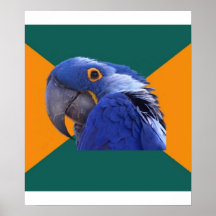 Paranoid Parrot Bird Advice Animal Meme Posters