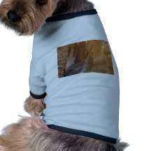 Paria Canyon, Utah, U.S.A. Pet Tshirt