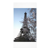 Paris Cherry Blossoms Photo Card Template