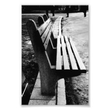 Park Bench Photographic Print