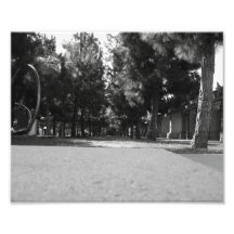 Park Photograph