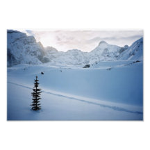 Parker Ridge Banff Park Icefields Alberta Canada Art Photo