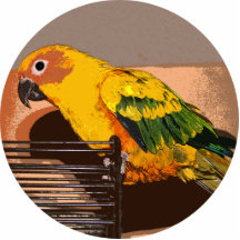 Parrot Golden Acrylic Cut Out