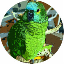 Parrot Green Photo Cutout