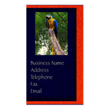 Parrot Pose ~ Business Card