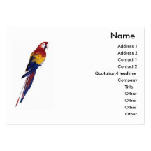 Parrot Profile Card Business Card