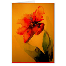 parrot tulip greeting card