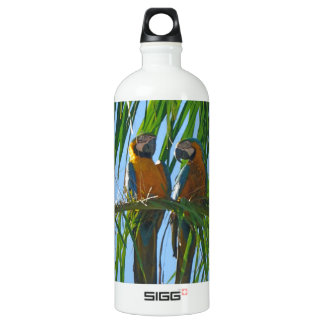 Macaw Water Bottle 41
