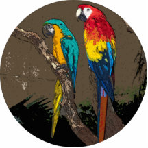Parrots Cut Outs