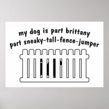 Part Brittany Part Fence-Jumper Posters