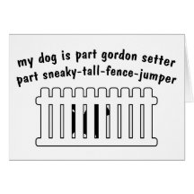 Part Gordon Setter Part Fence-Jumper Cards